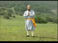 少林七星拳- 释永智 shaolin qixingquan- shi yongzhi