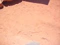 MVI 0339