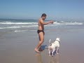 Apollo na praia
