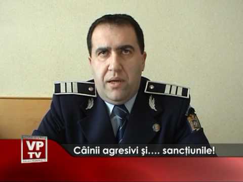 Câinii agresivi şi…. sancţiunile!