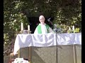 aplec del remei