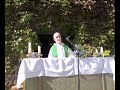 aplec del remei