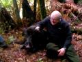 2009-08-05 | Hunting AOteabennydale with Howi Bayne. ~> we thought we better do our bit towards Maori language week , apoligies to the tanga tewhenua (0:37)