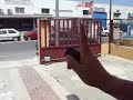 Copia mando a distancia CDM/U 433