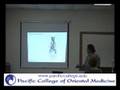 PCOM Anatomy 1 Final Review 7-16-08 P3