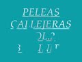 peleas callejeras vol 2