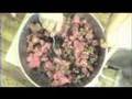 Earth School: Making Poke (pronounced Po-Kay) in Hawaii