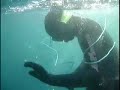 Spearfishing Kingfish