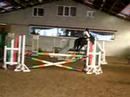 Equitation