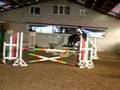 Equitation