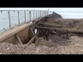 Sea Breaches Littlehampton harbour wall