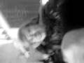 videos de MOV00704.3GP