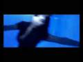 videos de LAMEOU !!!!!