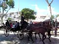 paseo caballos feria abril 2007