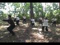 Tai Chi for Combat (Wu Tang USA)