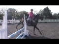 Hilton Park/Tilly TB Schoolmistress