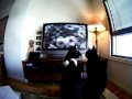 Cats watching TV