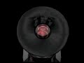Microbiology Movie Microbiology Movie
