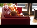 Test met nieuwe camera