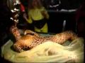 Zentai Catsuit Girls at club