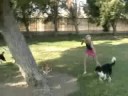 See Video