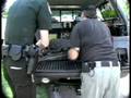 When Animals Strike - Gator Attack At Grandma's
