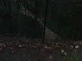 Sandy Springs Stream buffer - Variance- Sandy Springs Stream buffer - Variance-