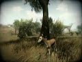Far Cry 2 teaser trailer Far Cry 2 teaser trailer