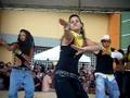 Elyts Cayey