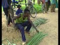 Confection de nattes - assouplissement des feuilles. RDC