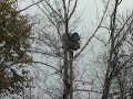 Todays siren test EOWS 1212 on River Rd. in New Baltimore with blown drivers or sound card. Well once again I picked the wrong 1212 to film. The siren popped during activation which leads me to believe it has a blown sound card.