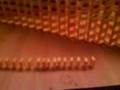 videos de my bigest wall