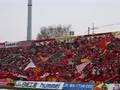 Frode Johnsen - we love you