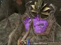 プリンストンテール動画