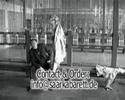 Saar Saarland Song  Mia hann geschbield...  Clip von Manfred Spoo