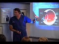 Information about eye floaters - What are they? How do they happen?  Presented by Griffin and Reed Eye Care of Sacramento, California.