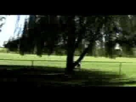 Greyhounds at the Resort