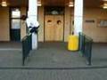 School Parkour/Freerun