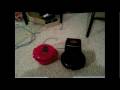 videos de Faraday Coded Pull & 1137 Bell
