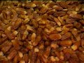 kurdce ilahi 2