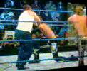 luta livre wwe luta livre wwe