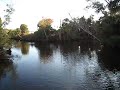 cruising the homosassa
