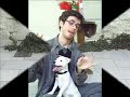 Xaveco Jack Russell Terrier Damn Dog 3
