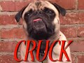 Roller Chester 5: Pugs, Mugs, Volcano
