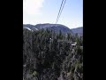 Ziplining in Steady Brook Newfoundland