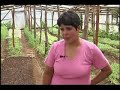 Reportaje Voluntarios JICA (JOCV) en Chiloe - Nakai san & Sakamoto san