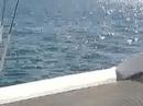 Sailing