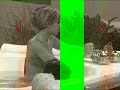Thumbnail #1