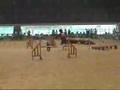 Dog Agility (Jun/27/2007 JKC Final Jumping Large Vol.2)