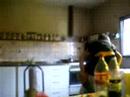 Amtosambuche :O (?) Amtosambuche :O (?)